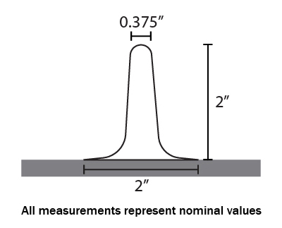 421_photo.jpg